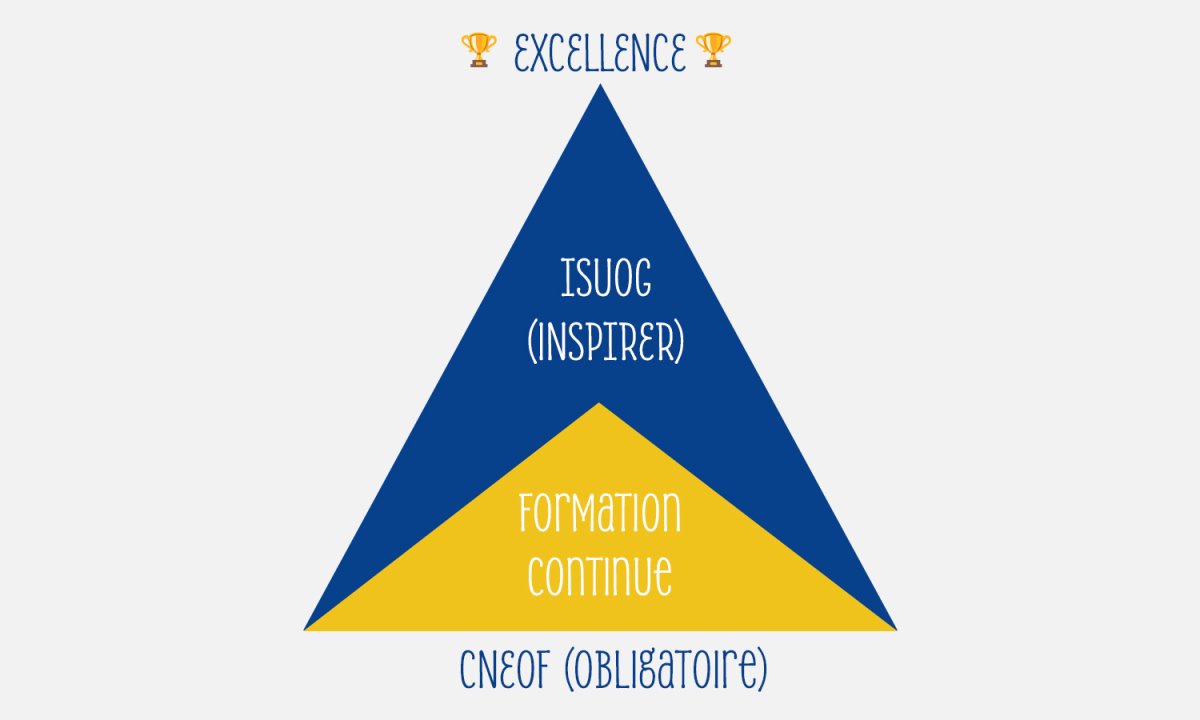CNEOF vs ISUOG : Comprendre les recommandations en échographie obstétricale